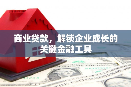 达孜商业贷款，解锁企业成长的关键金融工具