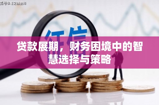 康县贷款展期，财务困境中的智慧选择与策略