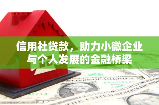 新营信用社贷款，助力小微企业与个人发展的金融桥梁