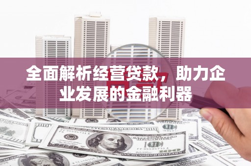 靖西全面解析经营贷款，助力企业发展的金融利器