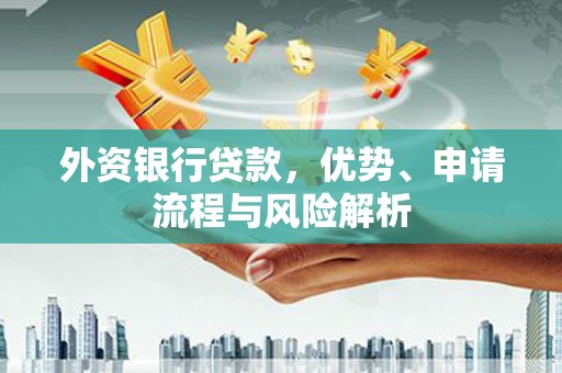 龙陵外资银行贷款，优势、申请流程与风险解析