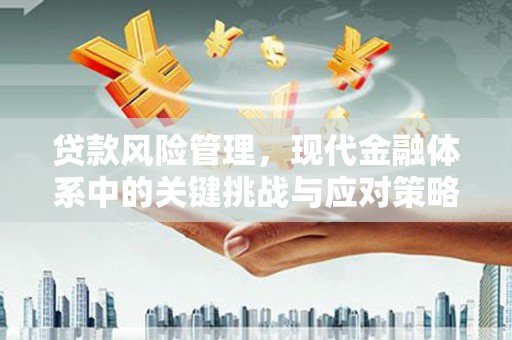 萍乡贷款风险管理，现代金融体系中的关键挑战与应对策略