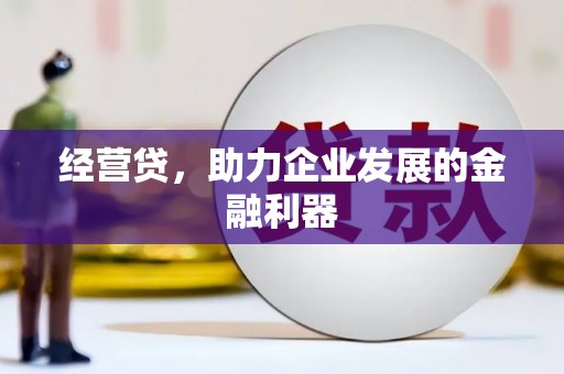 泰顺经营贷，助力企业发展的金融利器