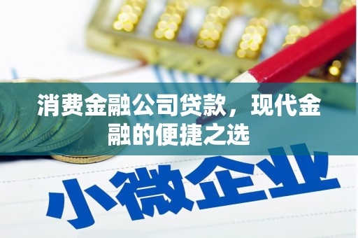 树林消费金融公司贷款，现代金融的便捷之选