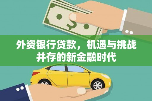 屏南外资银行贷款，机遇与挑战并存的新金融时代