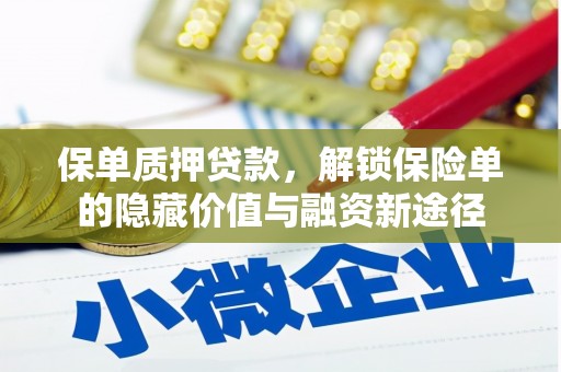 墨江保单质押贷款，解锁保险单的隐藏价值与融资新途径