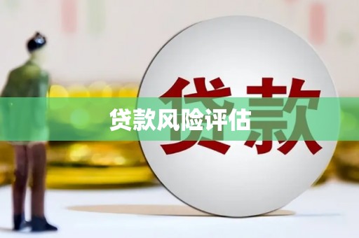 安仁贷款风险评估