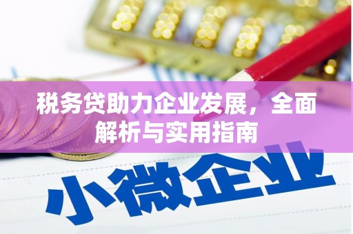 汕尾税务贷助力企业发展，全面解析与实用指南