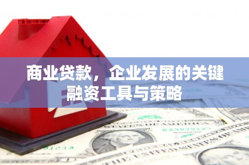 莿桐商业贷款，企业发展的关键融资工具与策略