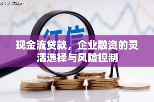 腾冲现金流贷款，企业融资的灵活选择与风险控制