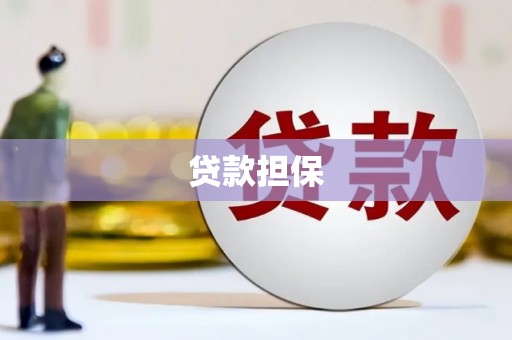 屯溪贷款担保