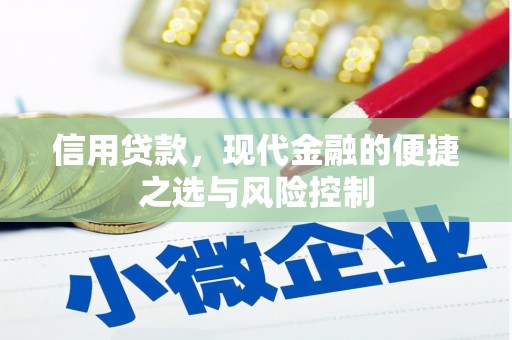 南宫信用贷款，现代金融的便捷之选与风险控制