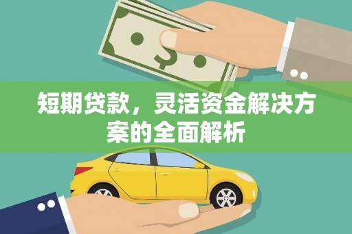 大林短期贷款，灵活资金解决方案的全面解析