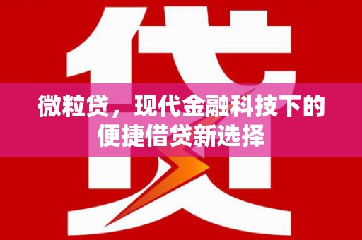 光泽微粒贷，现代金融科技下的便捷借贷新选择