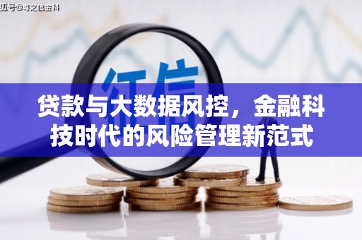 纳溪贷款与大数据风控，金融科技时代的风险管理新范式