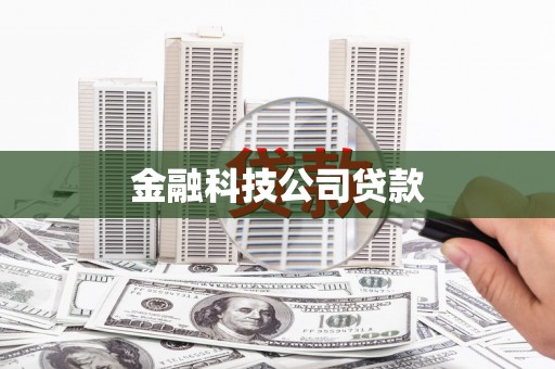 麦寮金融科技公司贷款