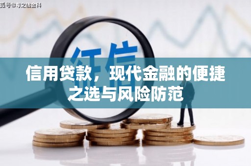 温州信用贷款，现代金融的便捷之选与风险防范