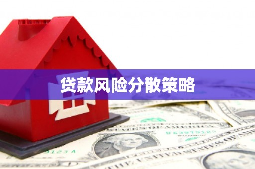 曲麻莱贷款风险分散策略