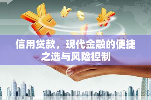 永济信用贷款，现代金融的便捷之选与风险控制