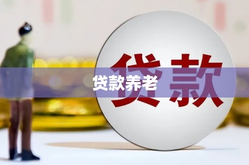 海原贷款养老
