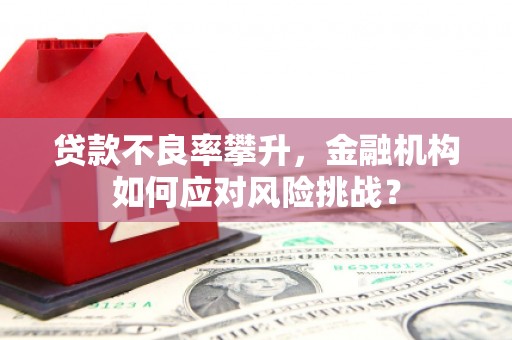 正镶白旗贷款不良率攀升，金融机构如何应对风险挑战？