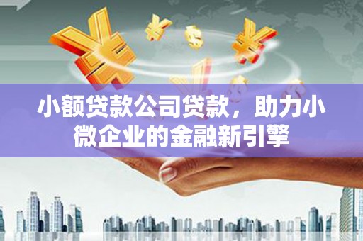 东明小额贷款公司贷款，助力小微企业的金融新引擎
