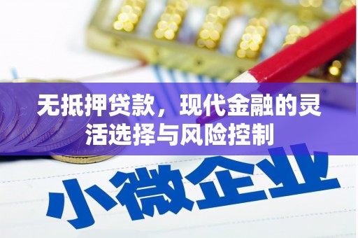 丰城无抵押贷款，现代金融的灵活选择与风险控制