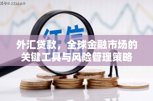 天元外汇贷款，全球金融市场的关键工具与风险管理策略