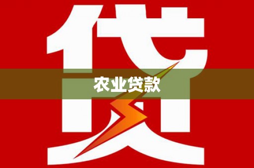岚皋农业贷款
