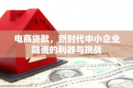 玛家电商贷款，新时代中小企业融资的利器与挑战