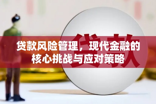 正阳贷款风险管理，现代金融的核心挑战与应对策略