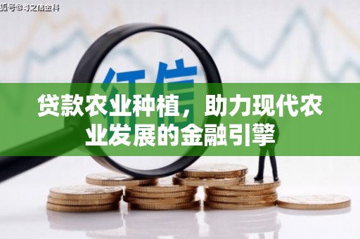 北区贷款农业种植，助力现代农业发展的金融引擎