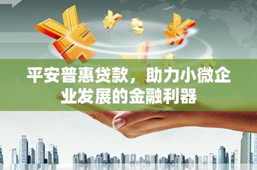 岚皋平安普惠贷款，助力小微企业发展的金融利器