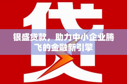 宁乡银盛贷款，助力中小企业腾飞的金融新引擎