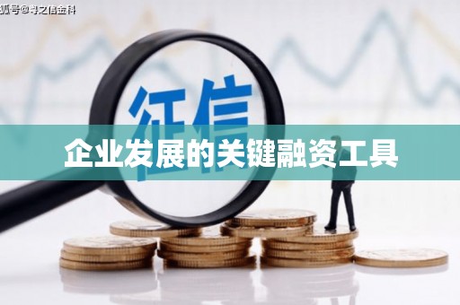 岳西企业发展的关键融资工具