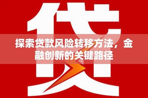 瑞芳探索贷款风险转移方法，金融创新的关键路径