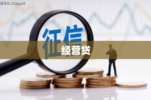 薛城经营贷