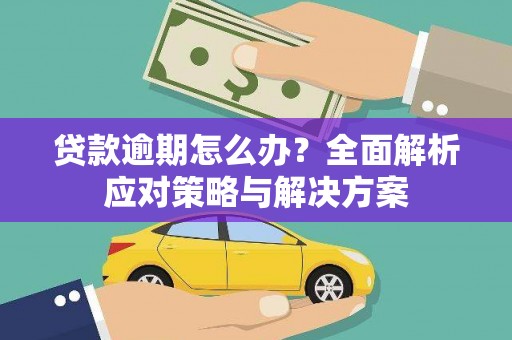 望城贷款逾期怎么办？全面解析应对策略与解决方案