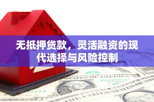 大冶无抵押贷款，灵活融资的现代选择与风险控制