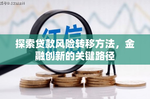 鹤庆探索贷款风险转移方法，金融创新的关键路径