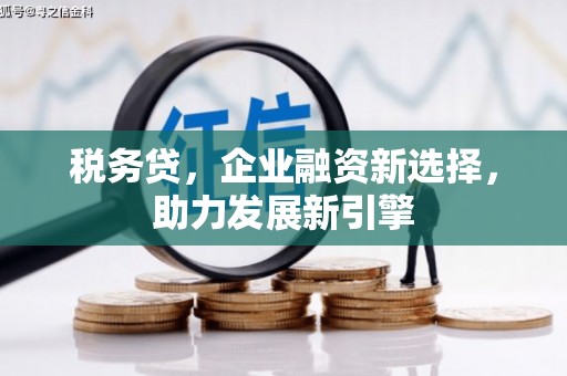 路环岛税务贷，企业融资新选择，助力发展新引擎