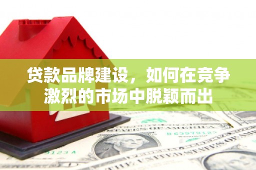 庆元贷款品牌建设，如何在竞争激烈的市场中脱颖而出