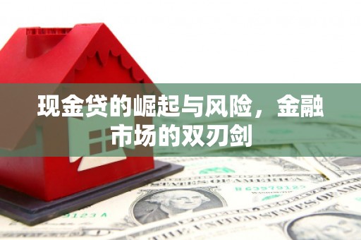 镇原现金贷的崛起与风险，金融市场的双刃剑