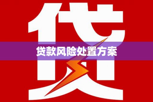 安陆贷款风险处置方案