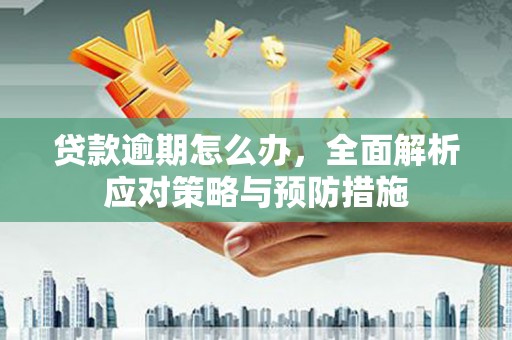 仑背贷款逾期怎么办，全面解析应对策略与预防措施