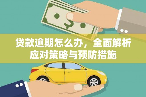 庆元贷款逾期怎么办，全面解析应对策略与预防措施