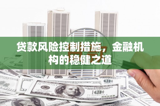 南屯贷款风险控制措施，金融机构的稳健之道