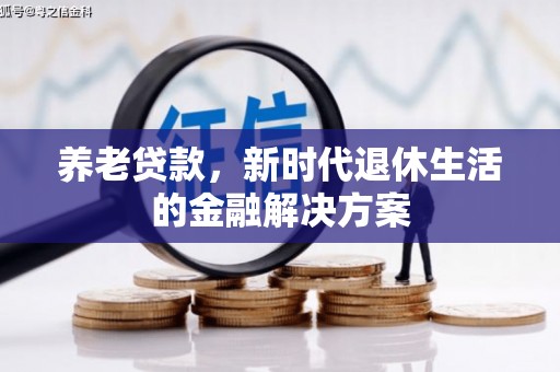 望安养老贷款，新时代退休生活的金融解决方案