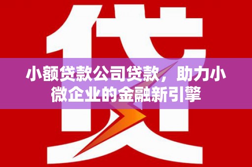 路桥小额贷款公司贷款，助力小微企业的金融新引擎