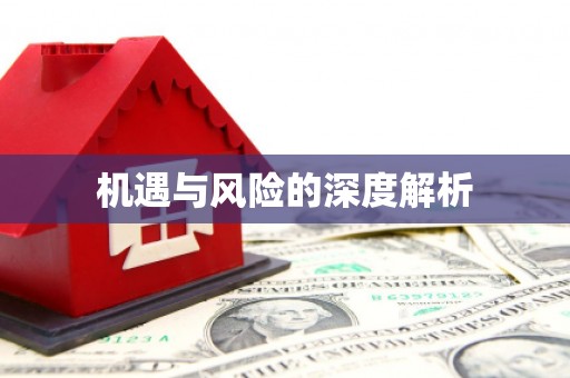沙田机遇与风险的深度解析
